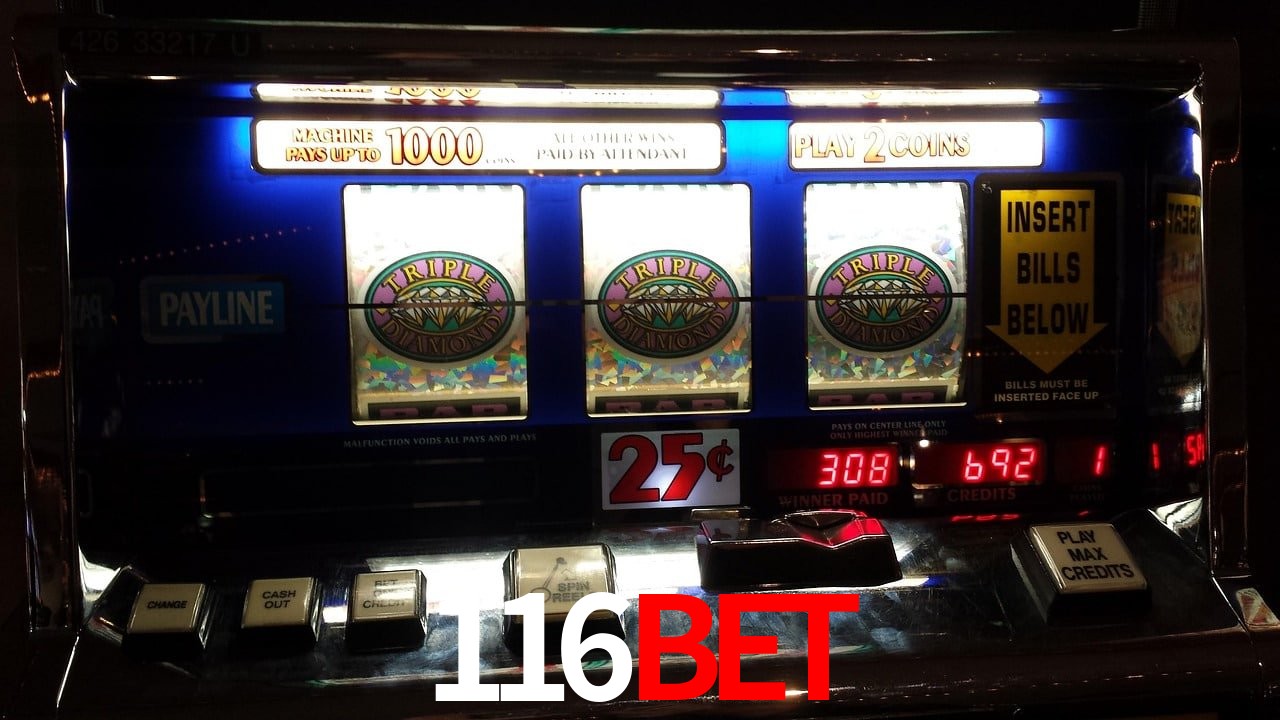 Statistics 116bet